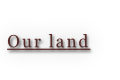 Our land